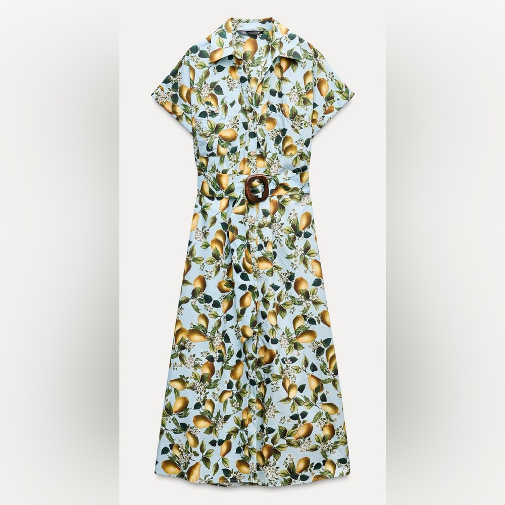 Zara Fruit Print Midi Dress - Picture 5 of 11